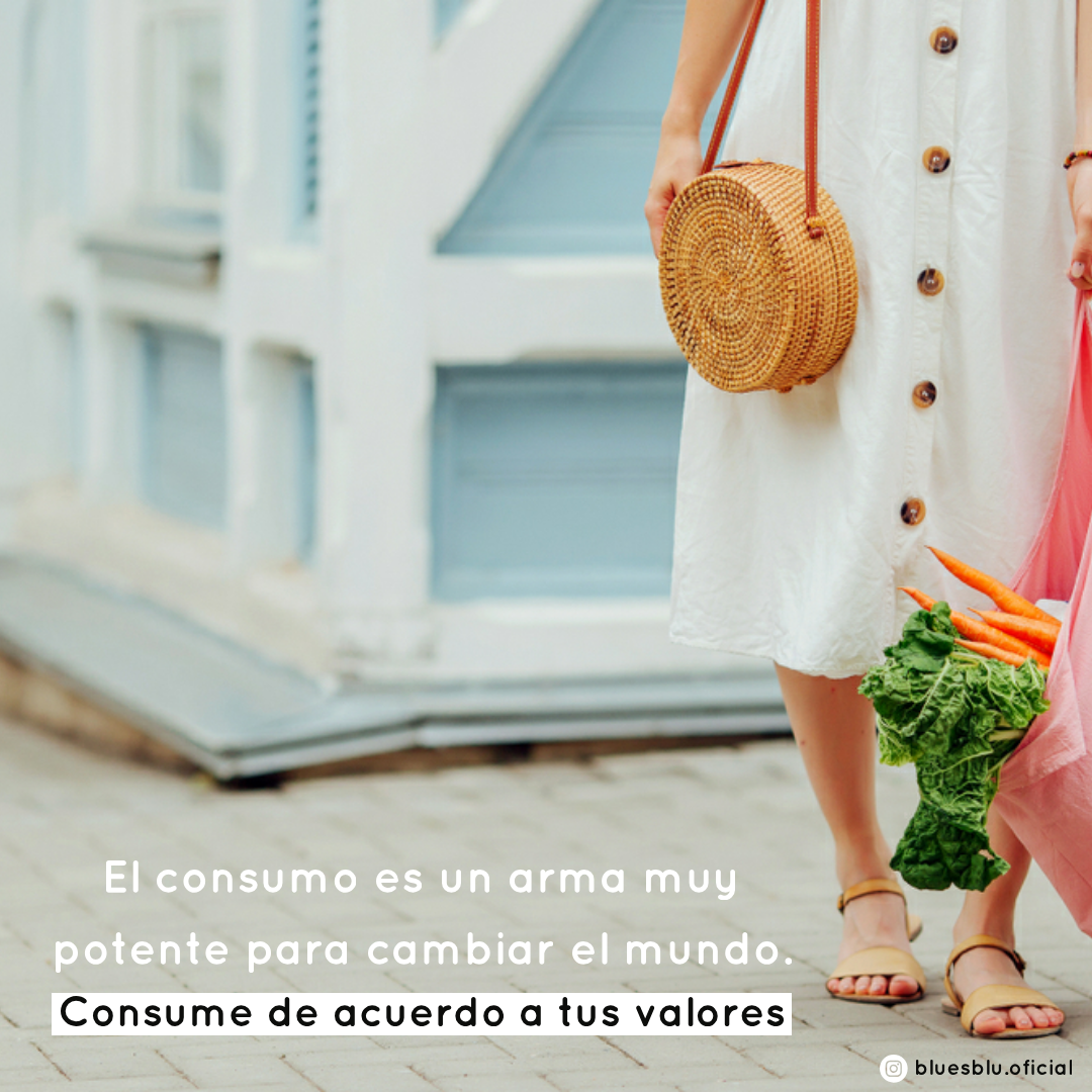 EL CONSUMO: UN ARMA MUY POTENTE PARA CAMBIAR EL MUNDO-BluesBlu