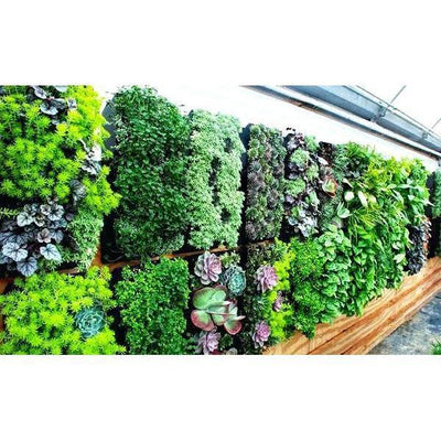 jardin vertical